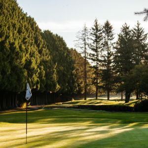 Hole 3 Green looking toward tee